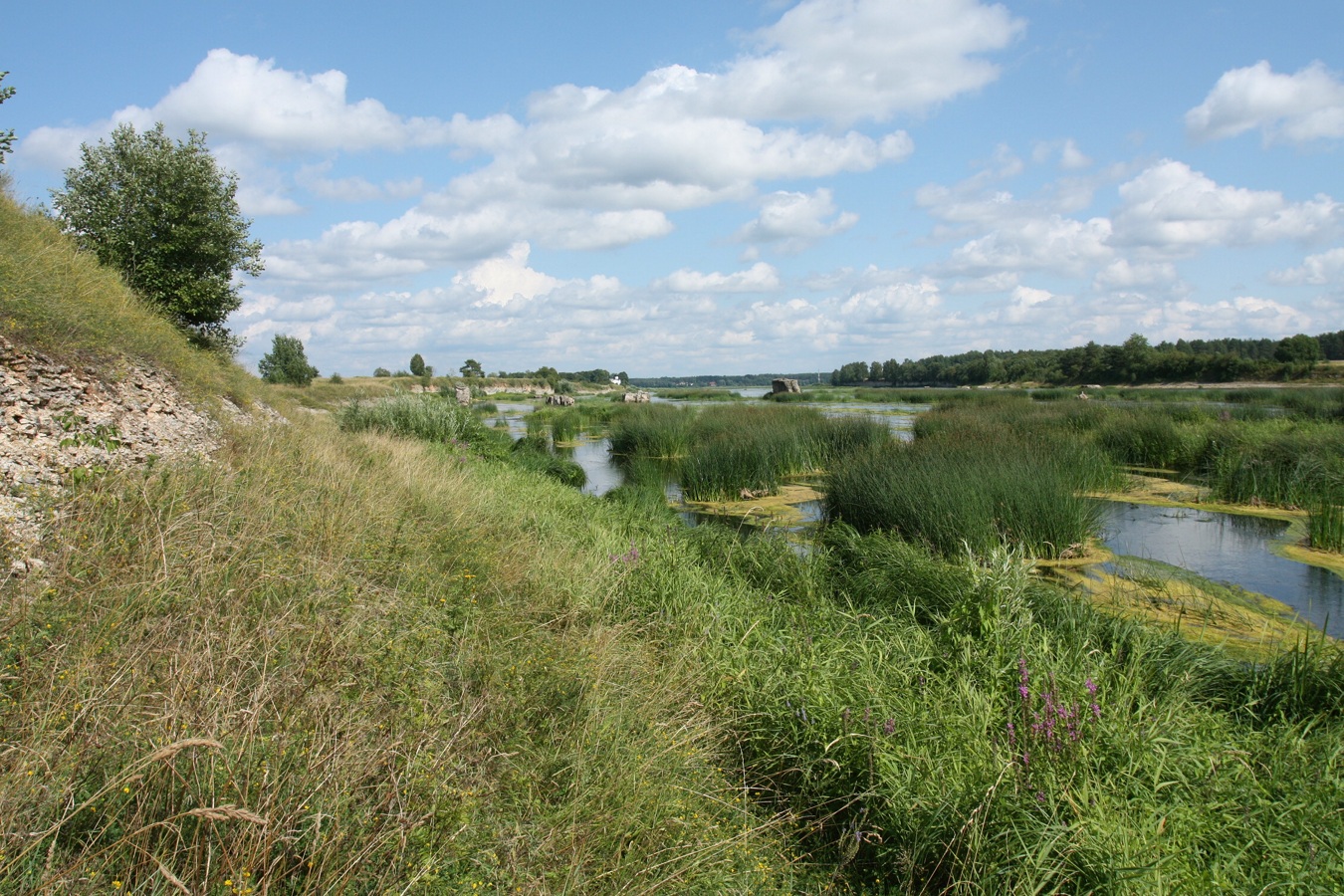 Выбуты, image of landscape/habitat.