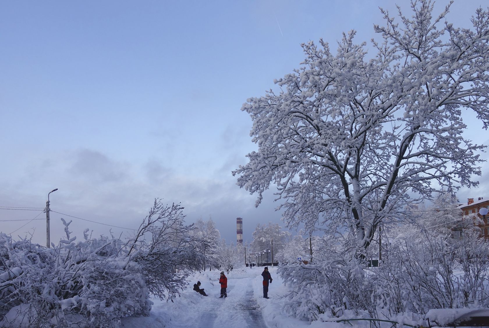 Электрогорск и его окрестности, image of landscape/habitat.