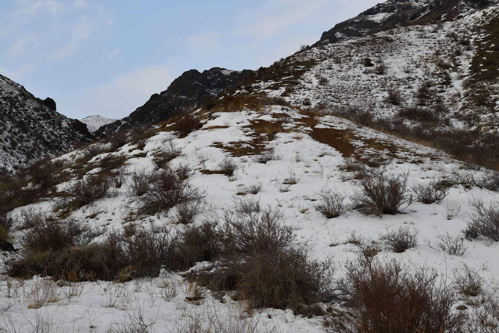 Перевал Кокпек, image of landscape/habitat.