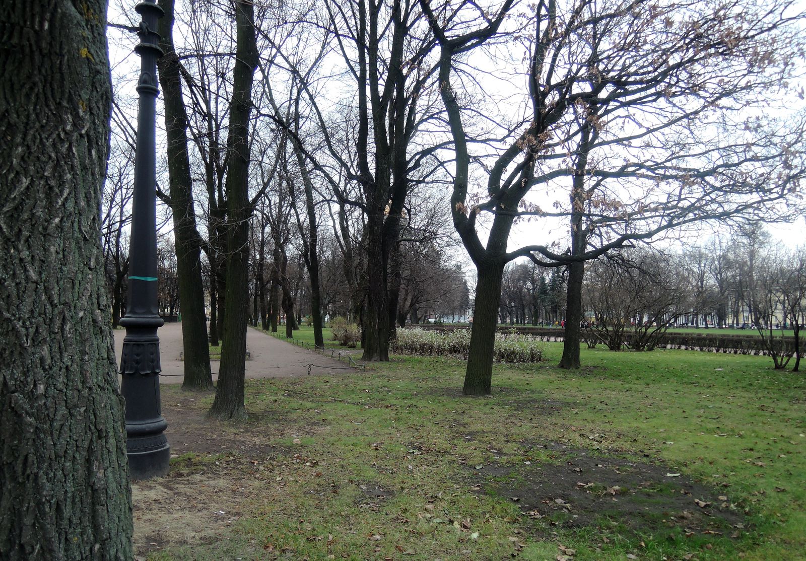 Александровский сад (СПб), image of landscape/habitat.