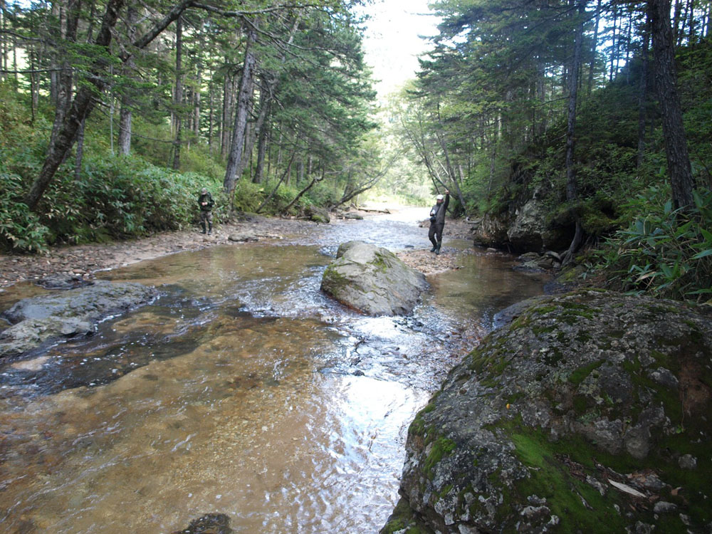 Кунашир, image of landscape/habitat.