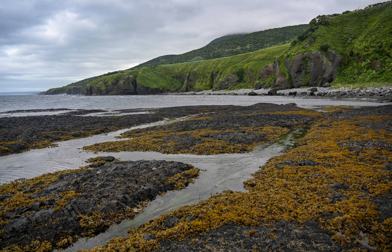 Водопадная, image of landscape/habitat.