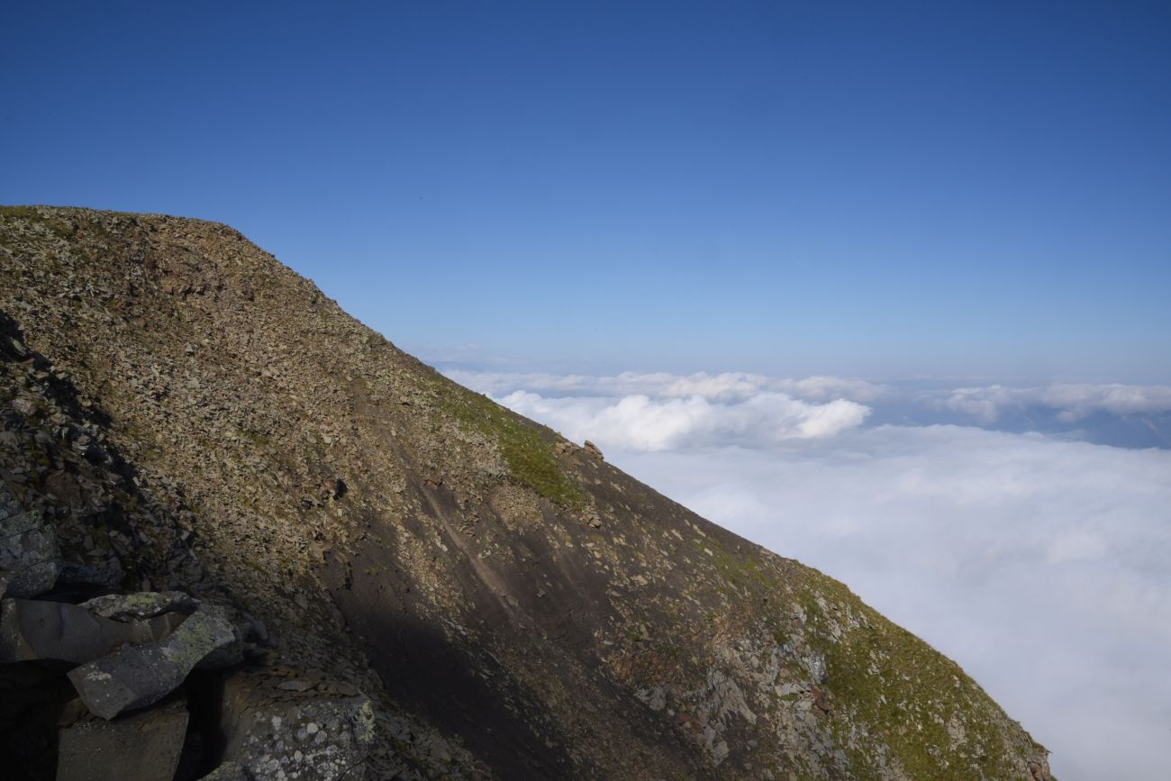 2 км от вершины горы Заинкорт, image of landscape/habitat.