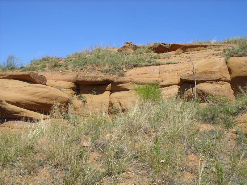 с. Претория, image of landscape/habitat.