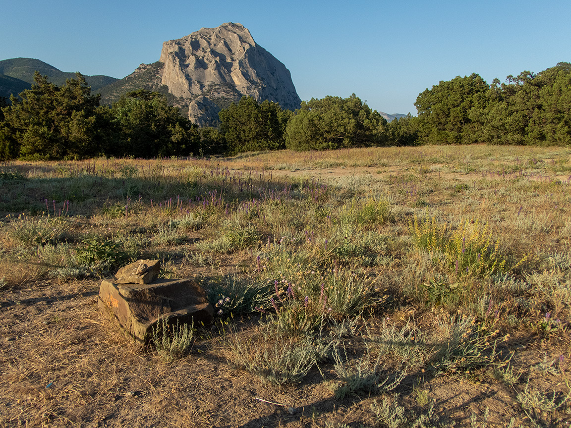 Тропа Голицына, image of landscape/habitat.