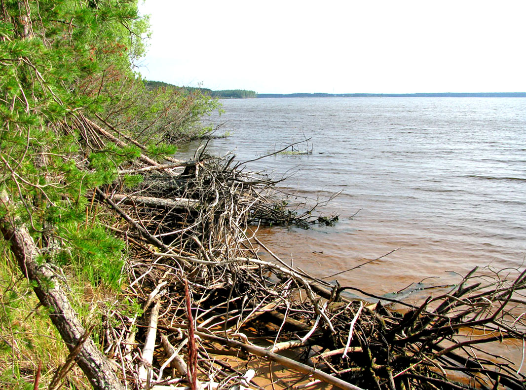 Дарвинский заповедник, image of landscape/habitat.