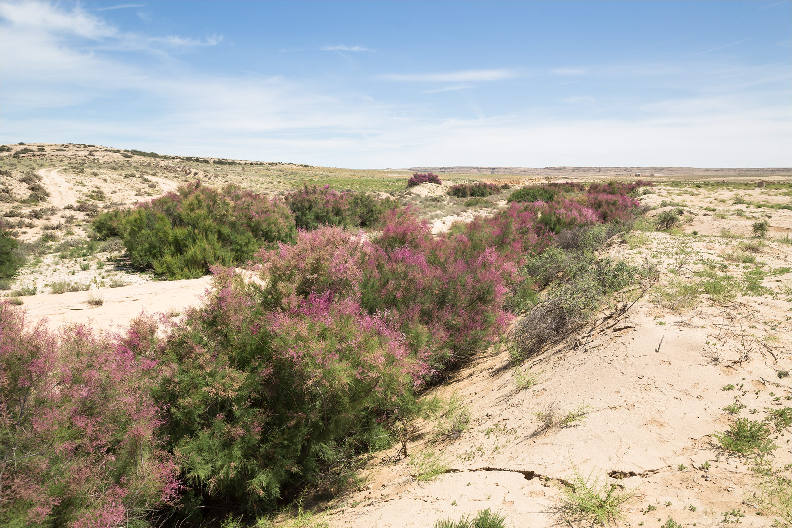 Голубая бухта, image of landscape/habitat.