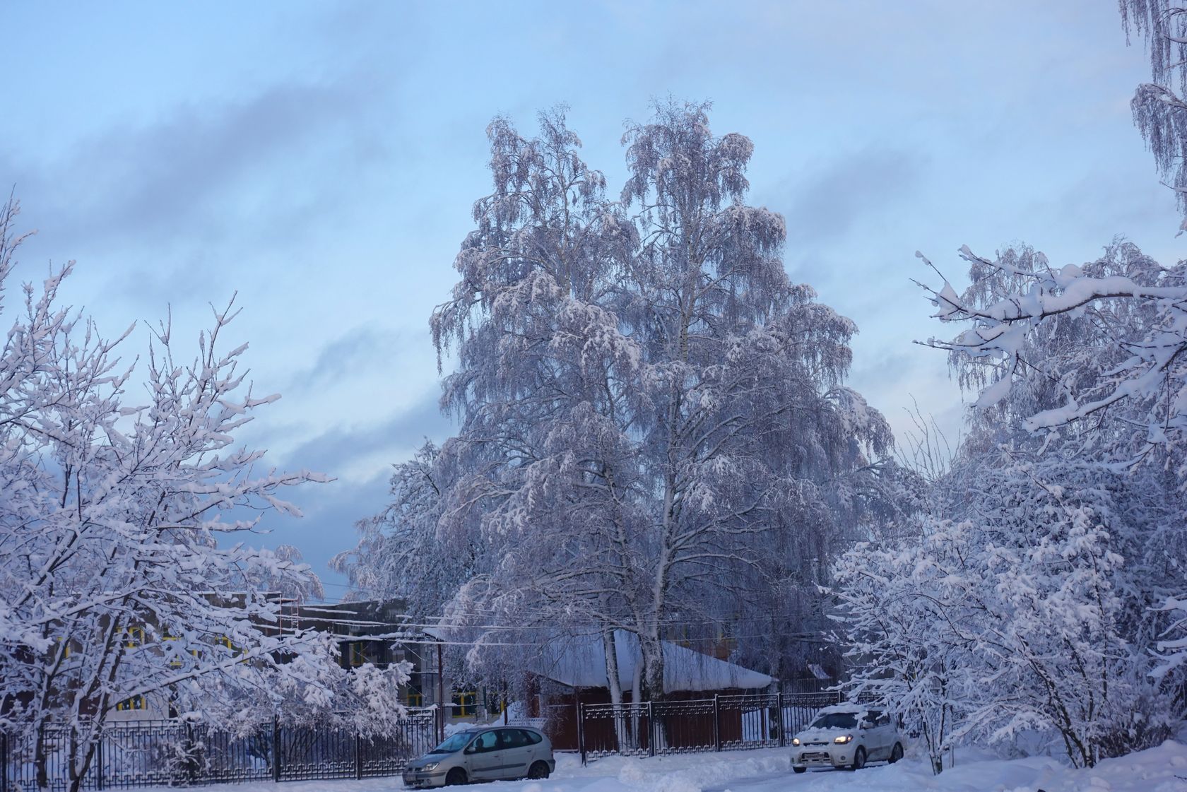 Электрогорск и его окрестности, изображение ландшафта.