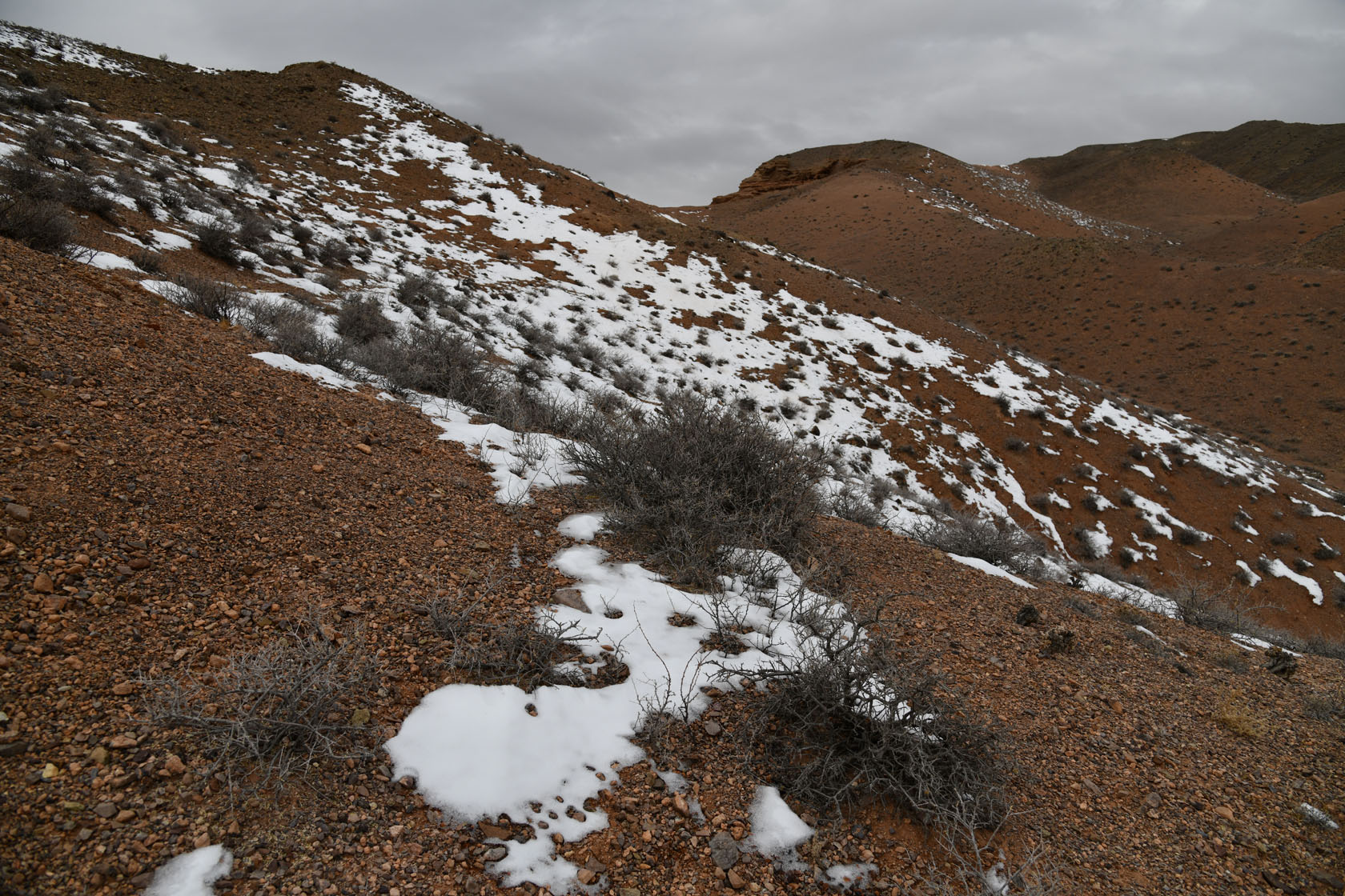 Чарын, image of landscape/habitat.