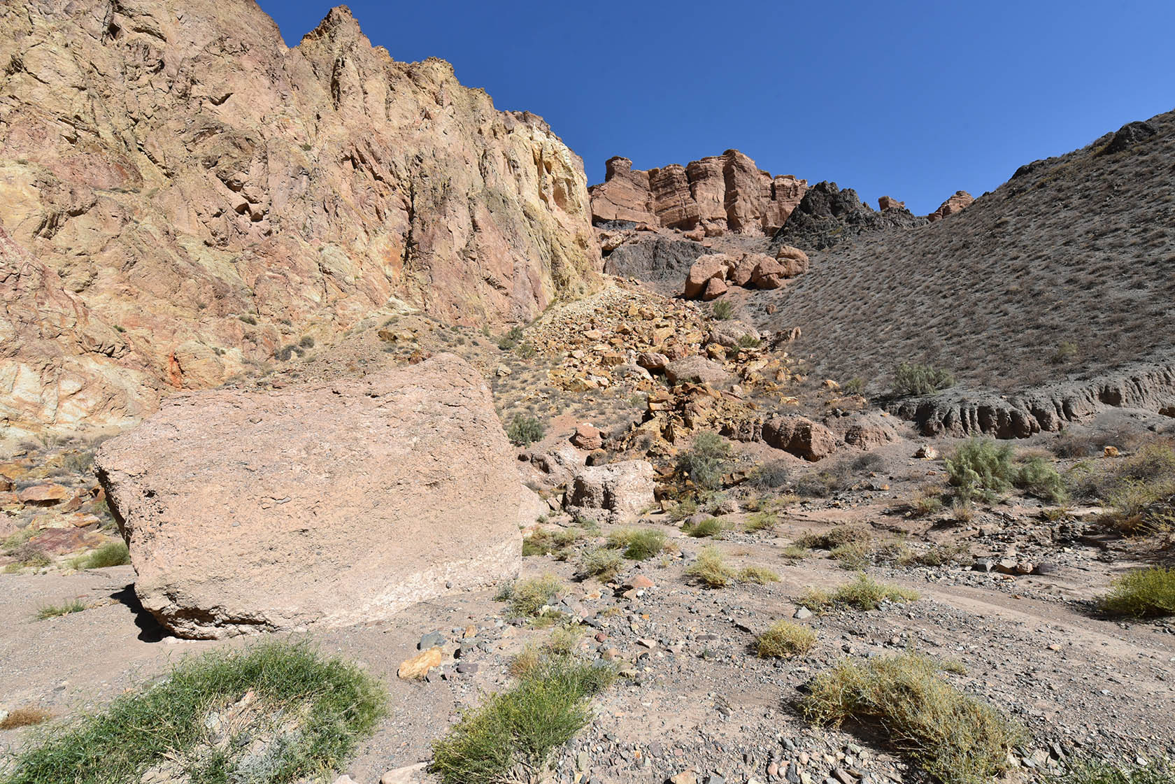 Чарын, image of landscape/habitat.