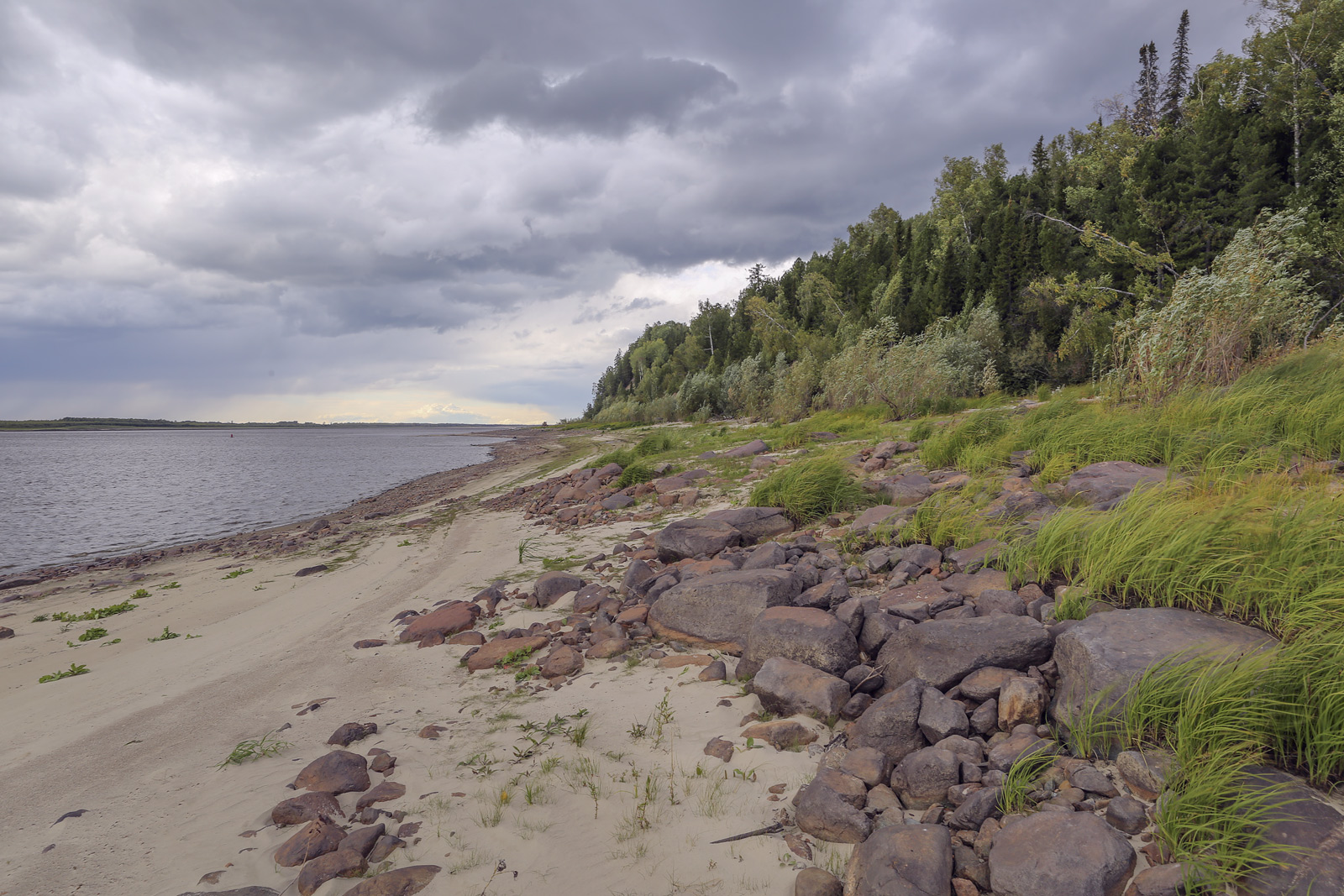 Окрестности Горнореченска, image of landscape/habitat.