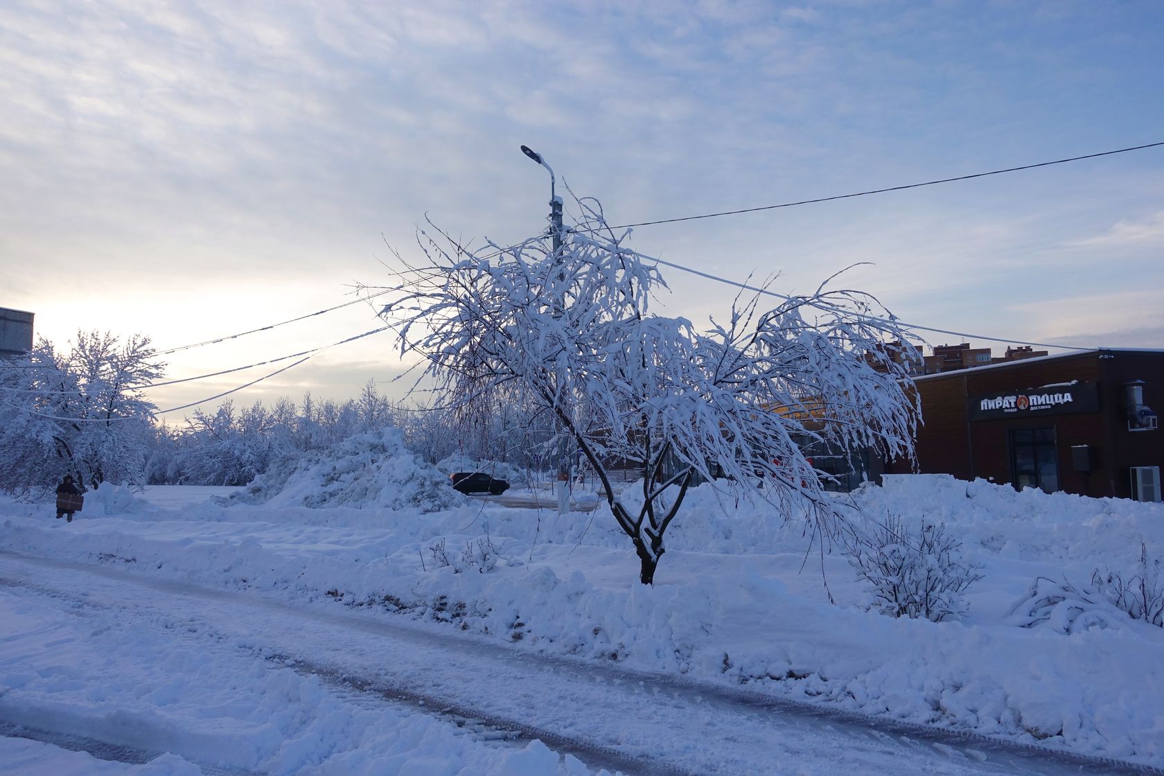 Электрогорск и его окрестности, изображение ландшафта.