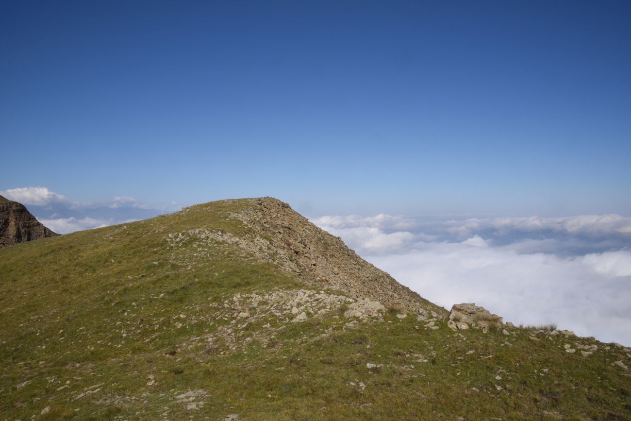 2 км от вершины горы Заинкорт, image of landscape/habitat.