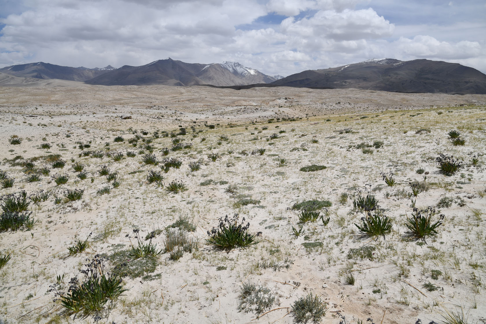 Тагаркаты, image of landscape/habitat.