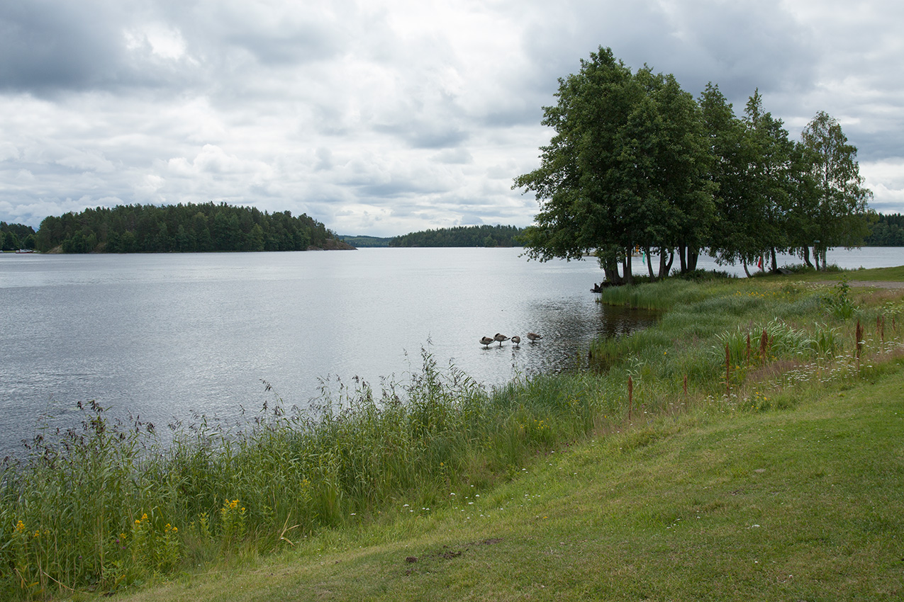 Савонлинна, image of landscape/habitat.