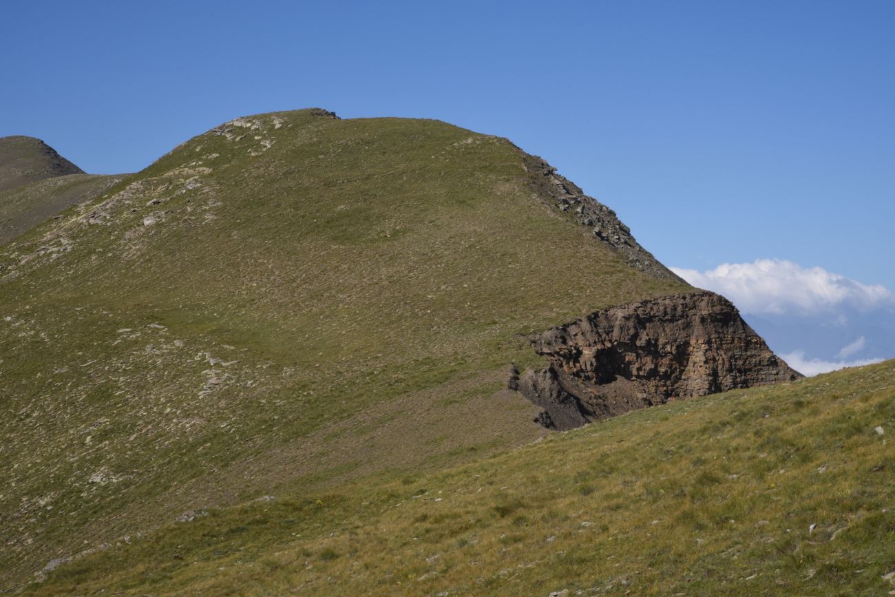 2 км от вершины горы Заинкорт, image of landscape/habitat.