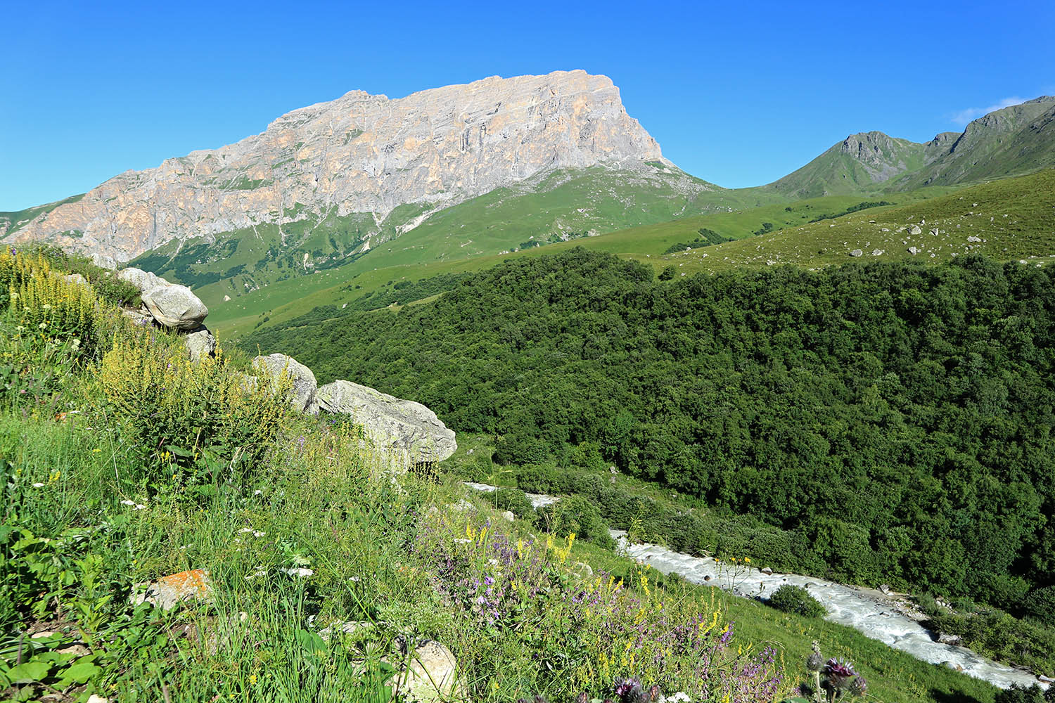 Псыгансу в верхнем течении, image of landscape/habitat.