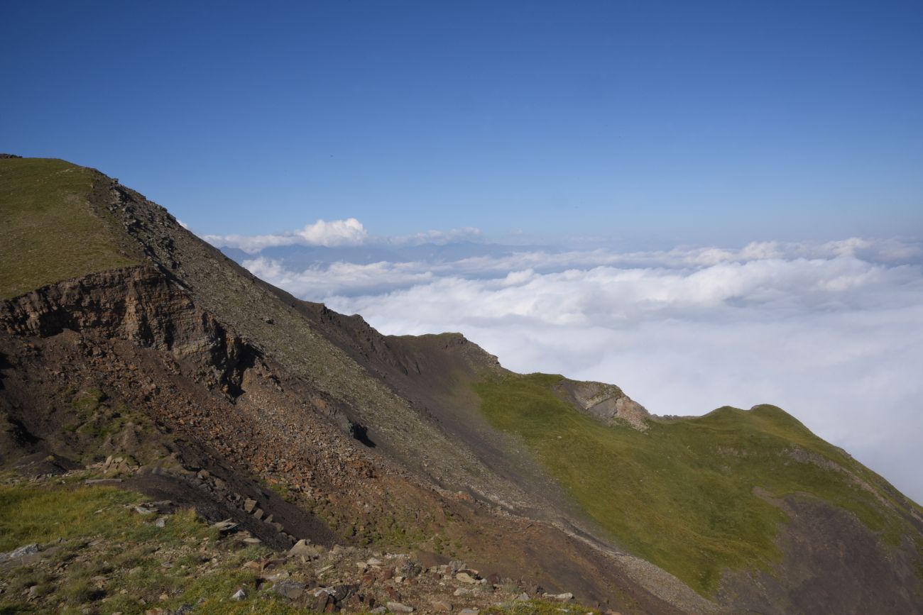 2 км от вершины горы Заинкорт, image of landscape/habitat.