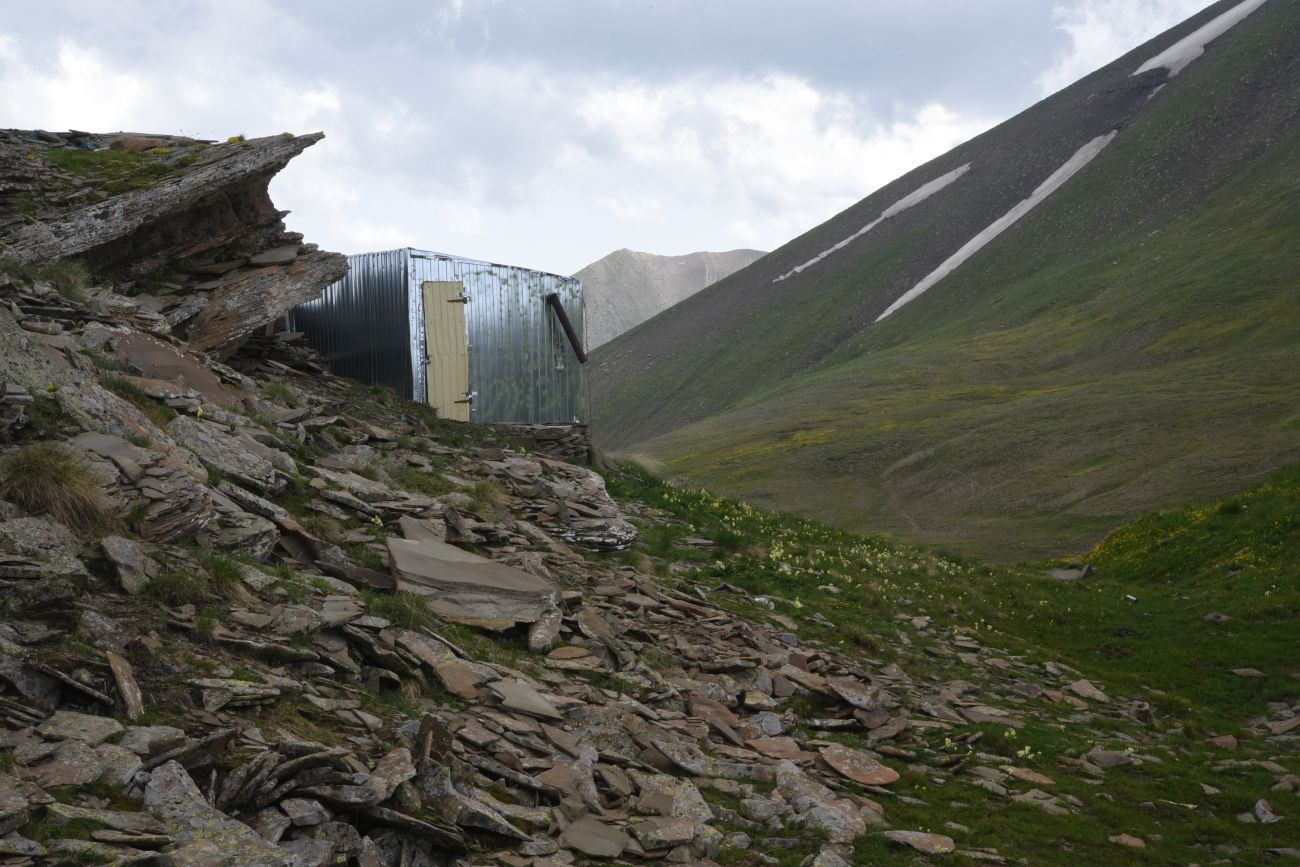 2 км от вершины горы Заинкорт, image of landscape/habitat.