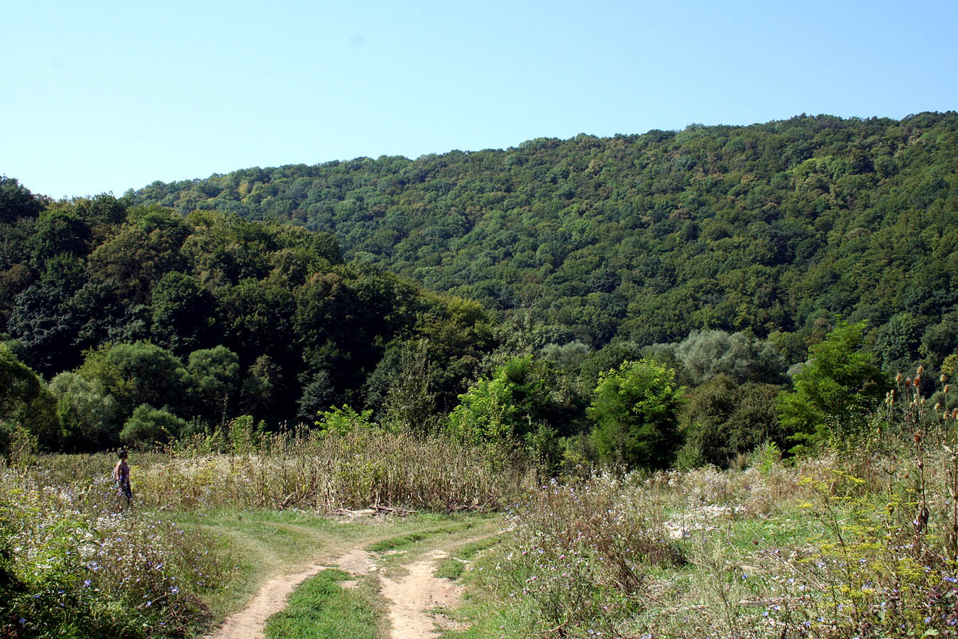 Совин Яр, image of landscape/habitat.