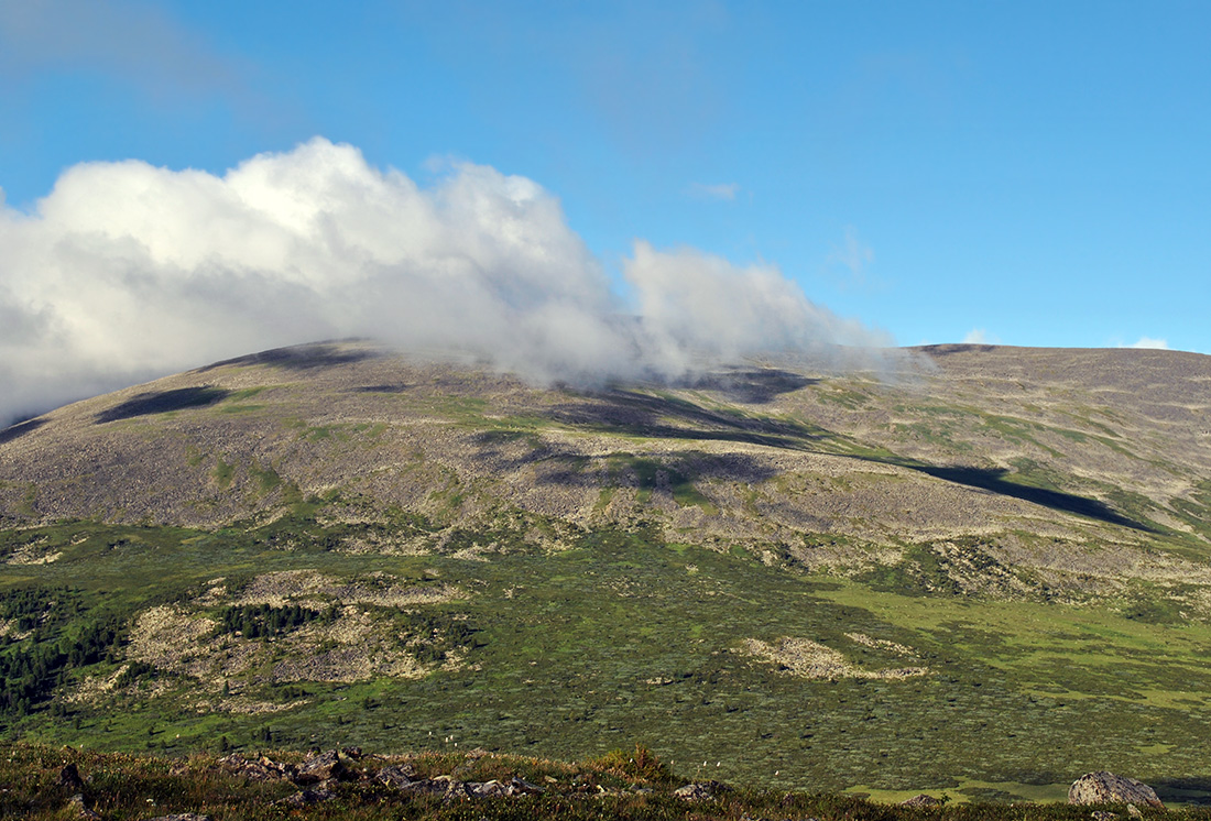 Гора Сарлык, image of landscape/habitat.