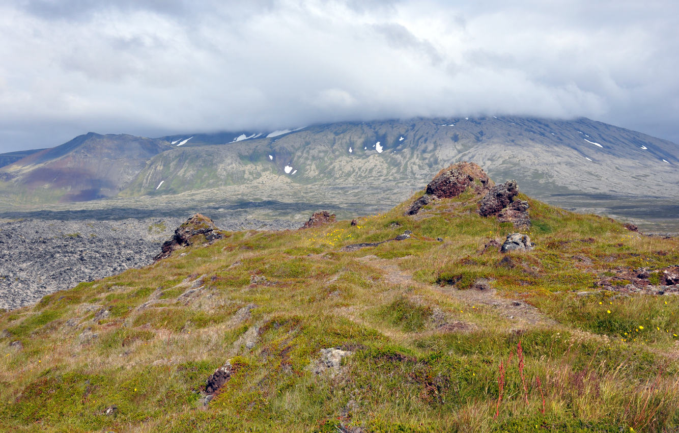 Полуостров Снайфедльснес, image of landscape/habitat.