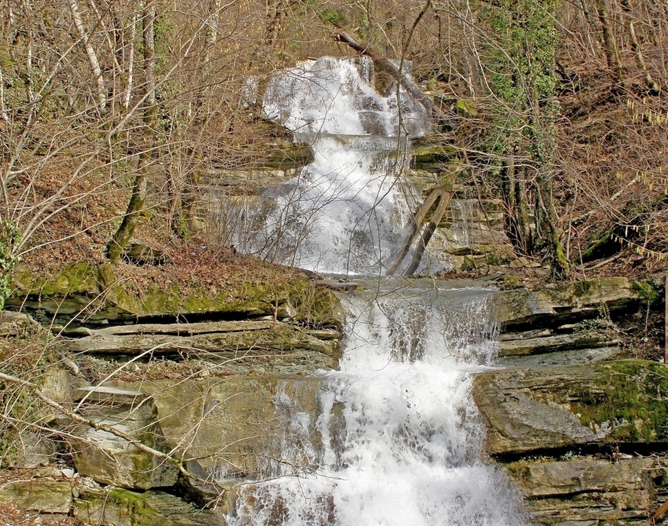 Долина реки Жанэ, image of landscape/habitat.