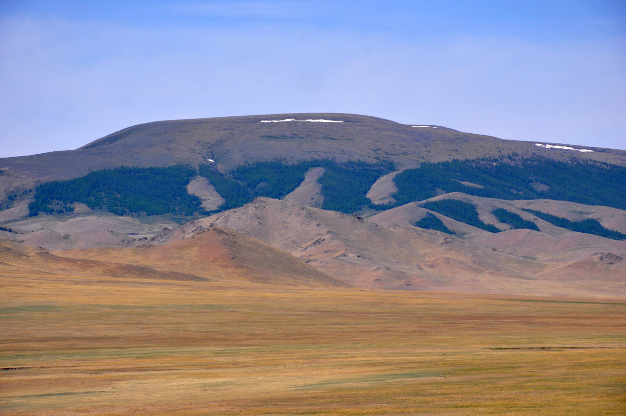 Западные отроги хребта Хангай, image of landscape/habitat.