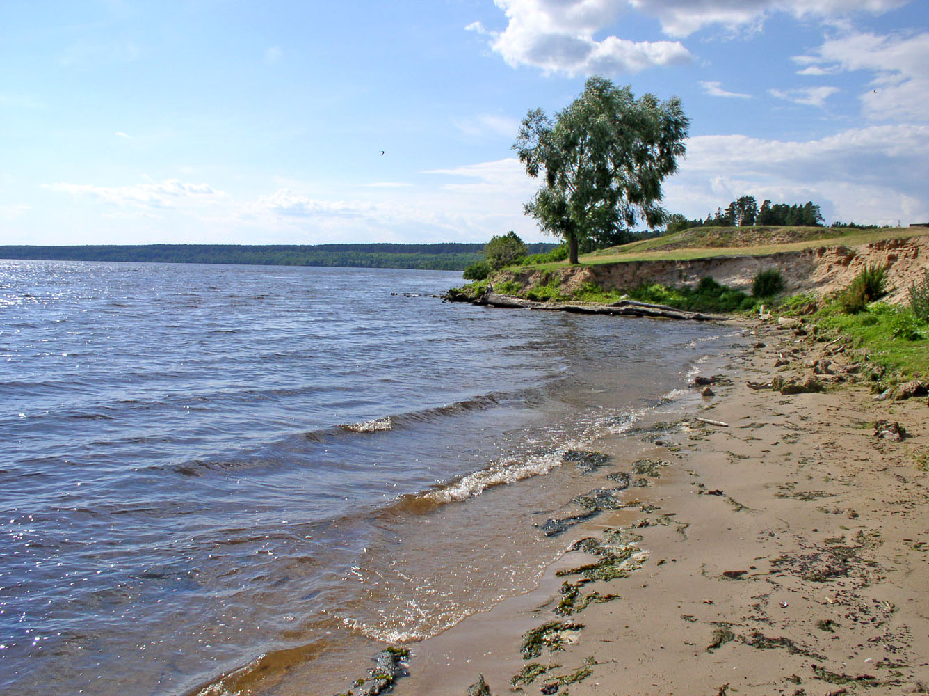 Чебоксарское водохранилище, image of landscape/habitat.