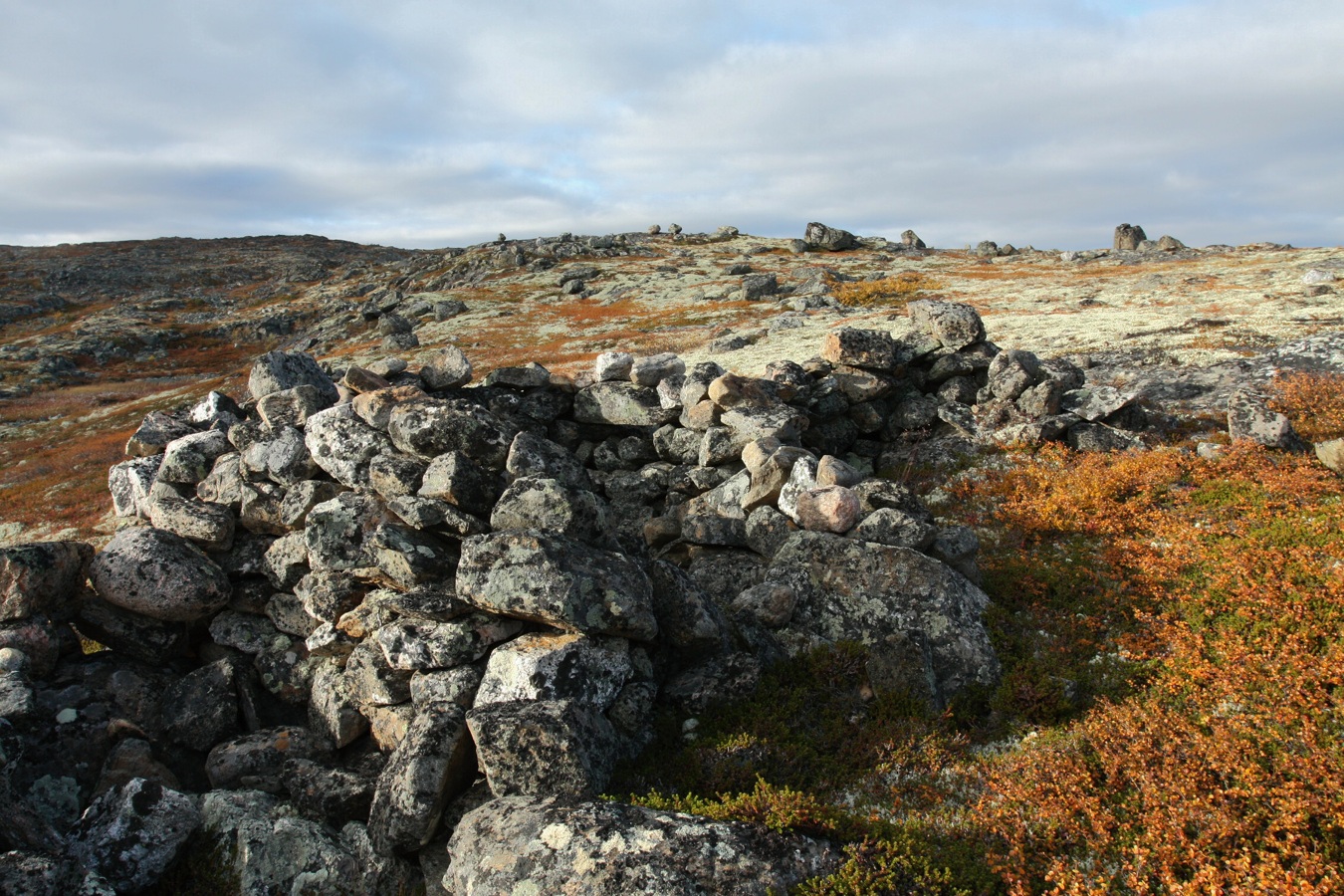 Высота 314.9, image of landscape/habitat.