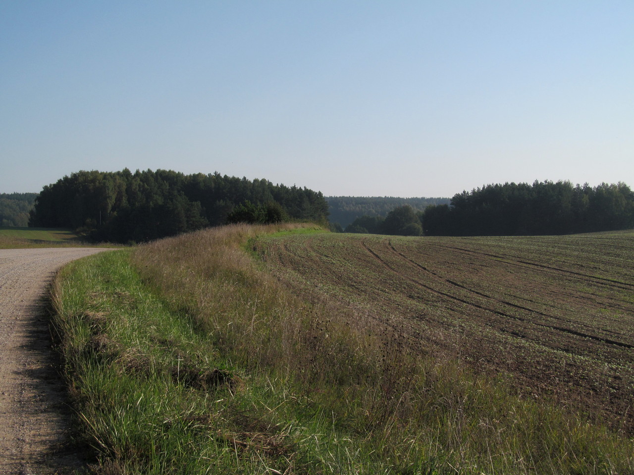 Косичи, image of landscape/habitat.