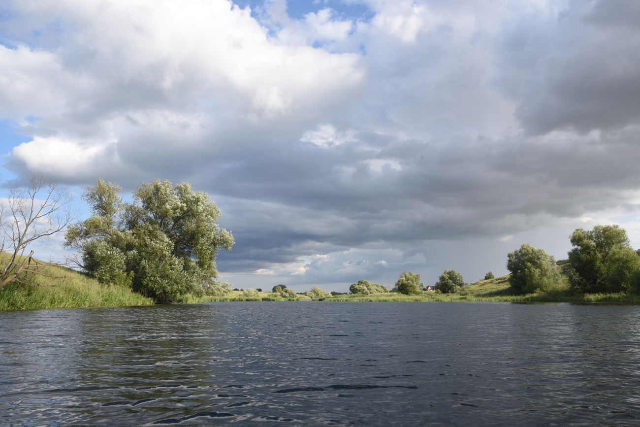 Село Никольское, изображение ландшафта.