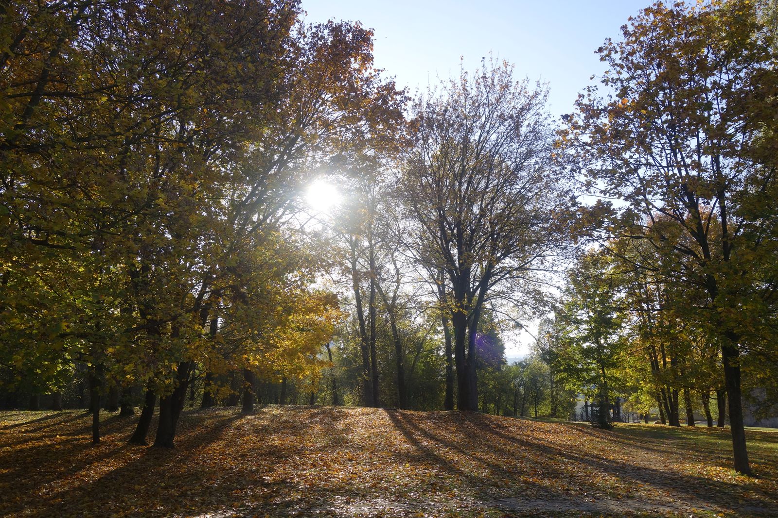 Коложа, image of landscape/habitat.