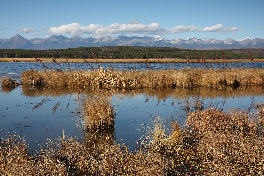 Окрестности села Зактуй, image of landscape/habitat.