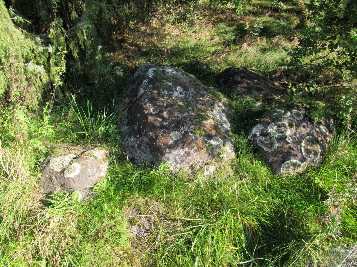 Косичи, image of landscape/habitat.