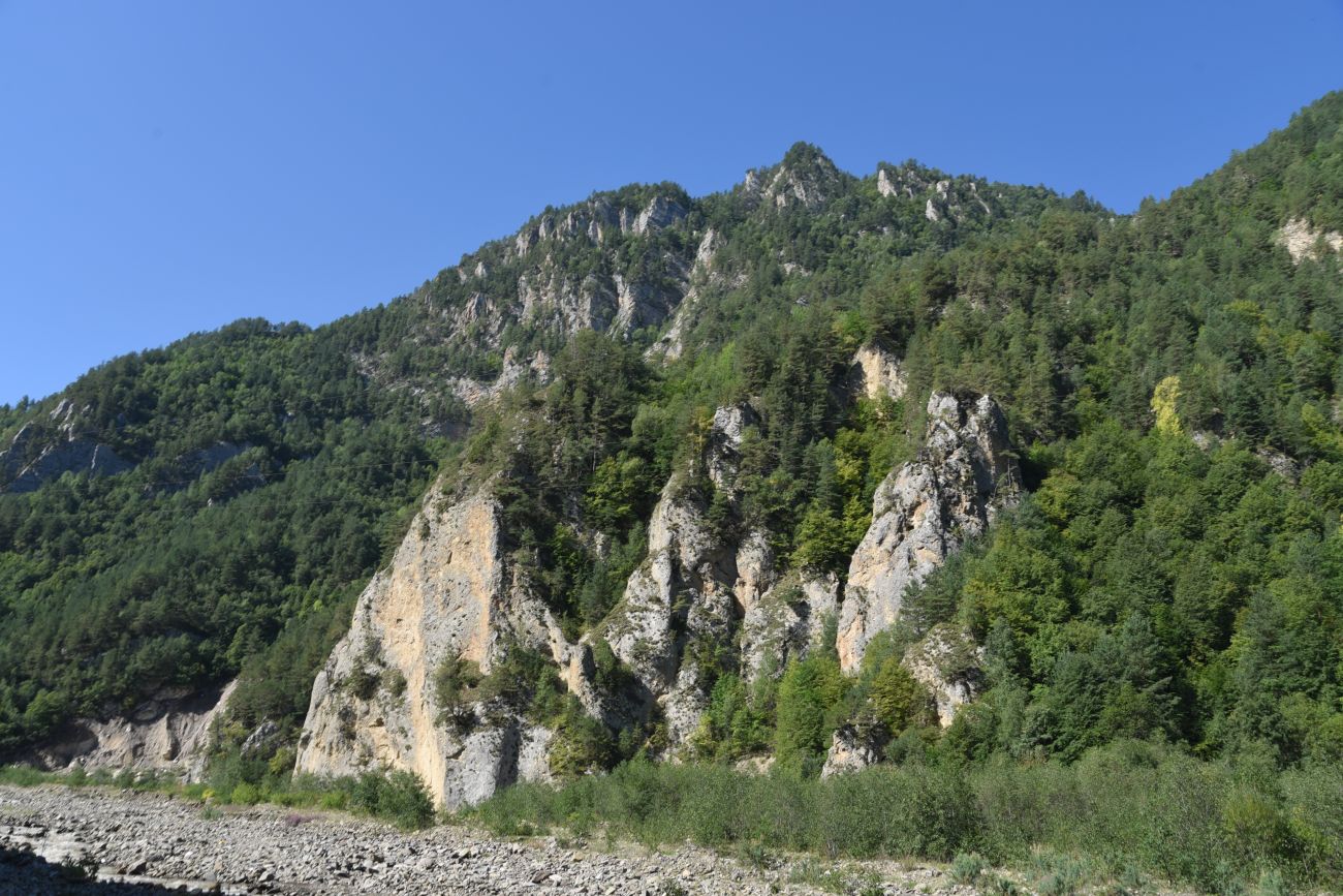 Устье реки Бутти, image of landscape/habitat.