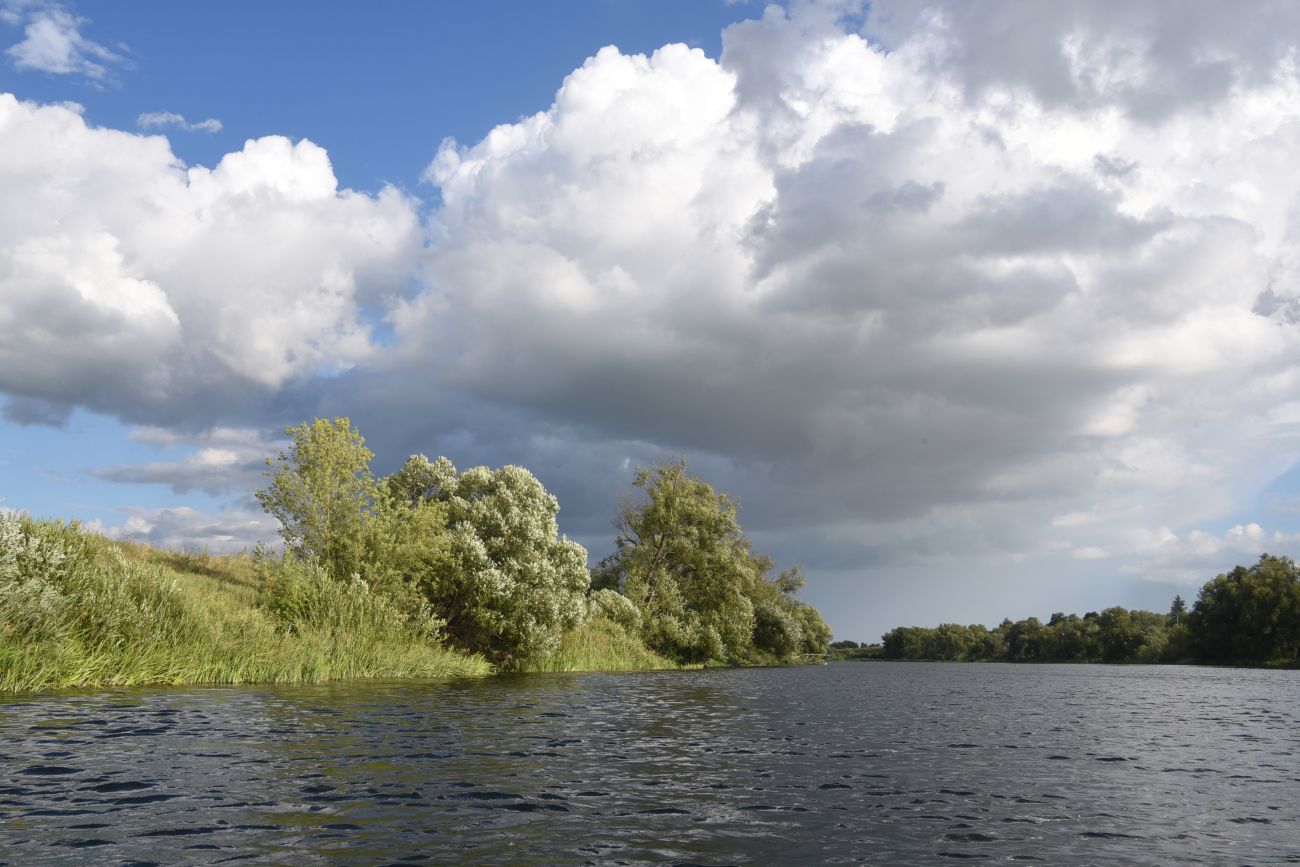 Село Никольское, image of landscape/habitat.