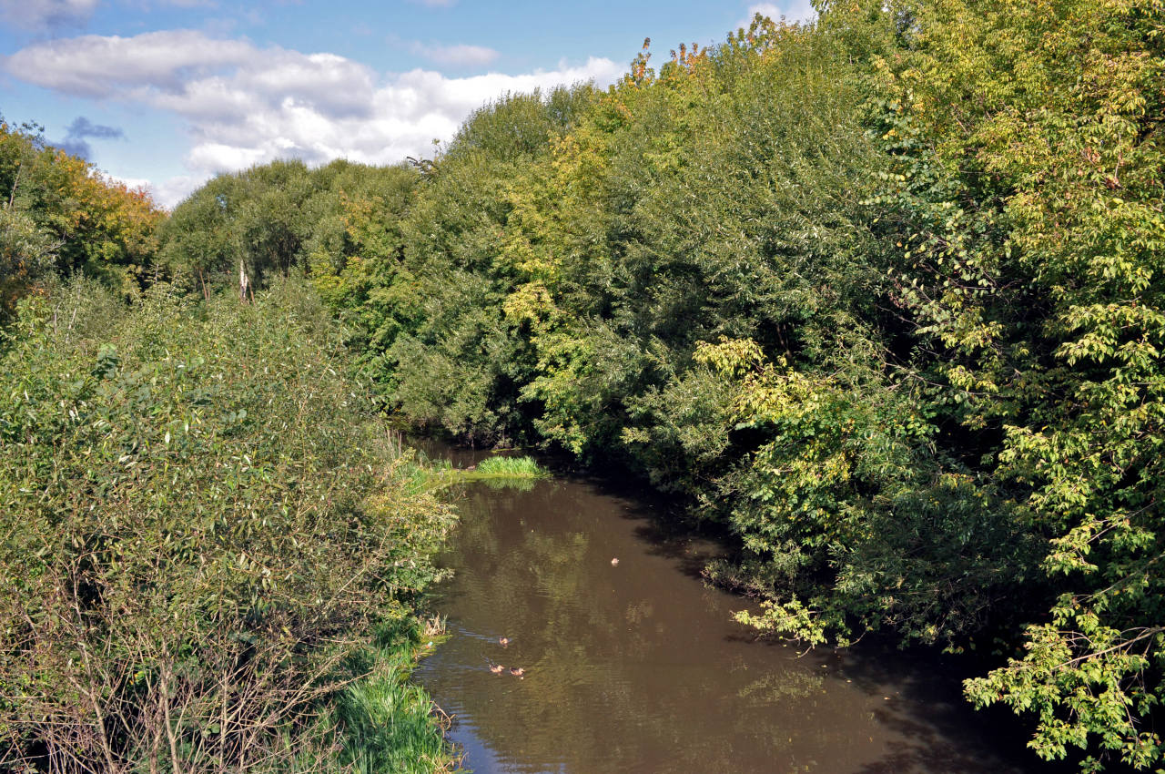 Долина реки Якоть, image of landscape/habitat.