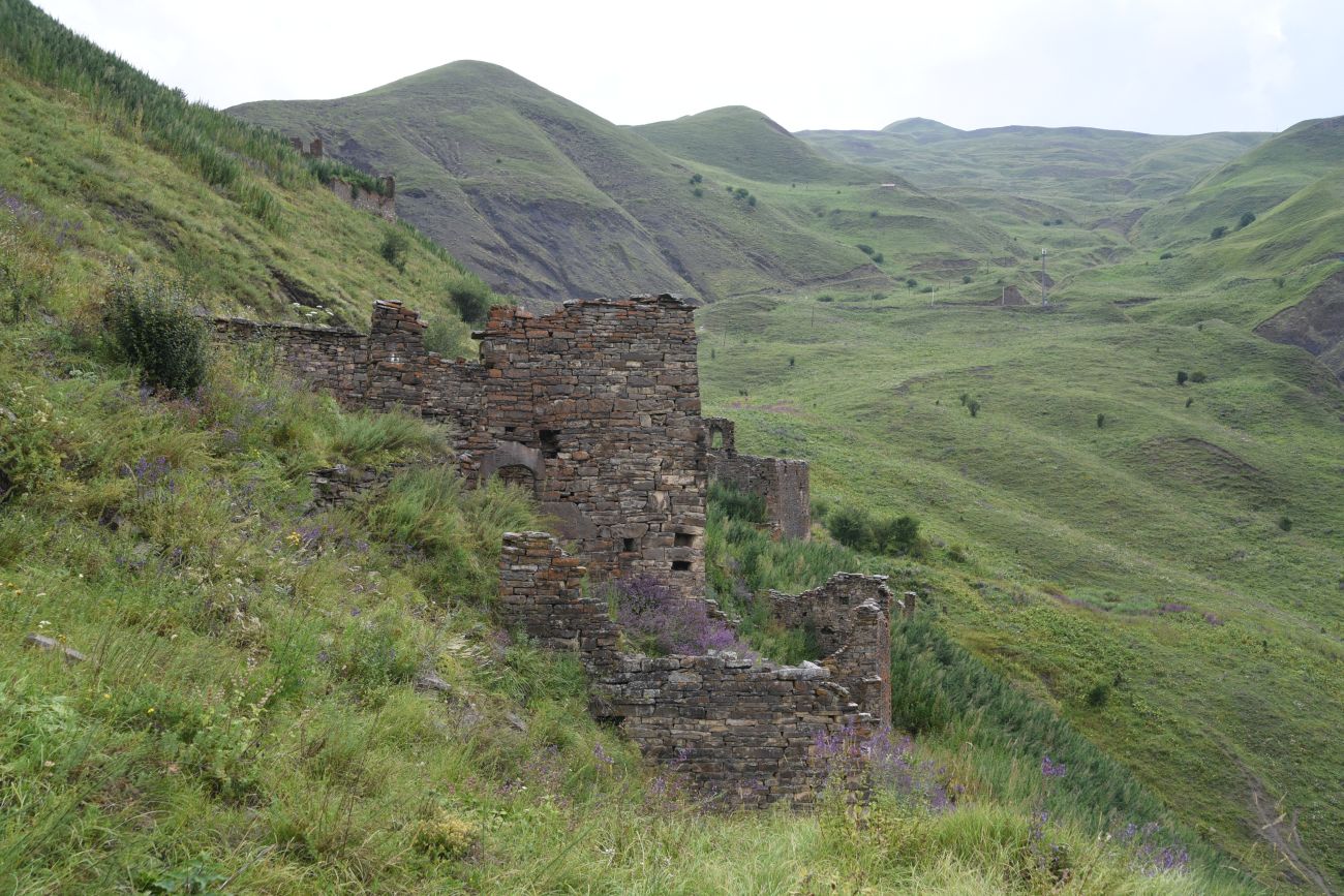 Шикарой и окрестности, image of landscape/habitat.