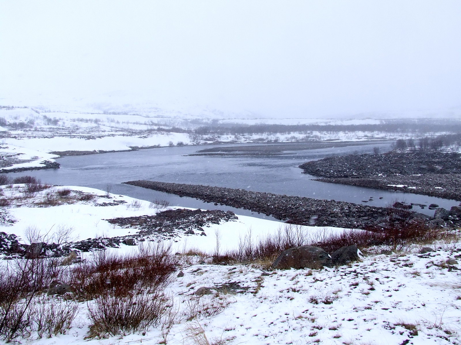 Туманный, image of landscape/habitat.