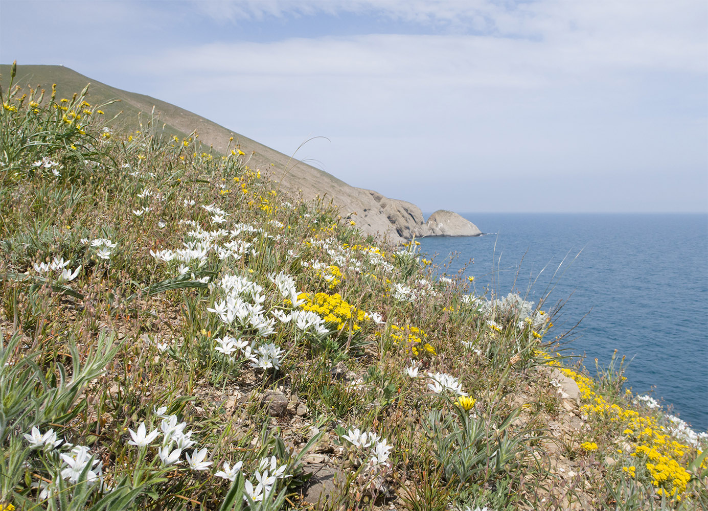 Киик-Атлама, image of landscape/habitat.