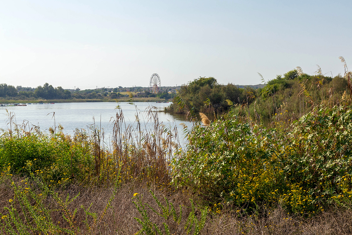 Ришон-ле-Цион и окрестности, image of landscape/habitat.