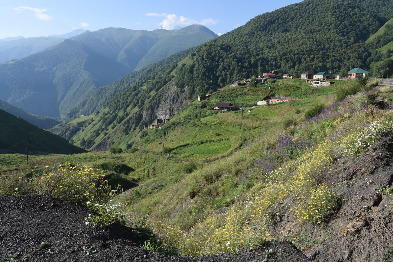 Шикарой и окрестности, image of landscape/habitat.