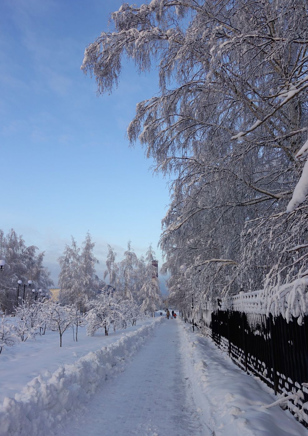 Электрогорск и его окрестности, image of landscape/habitat.