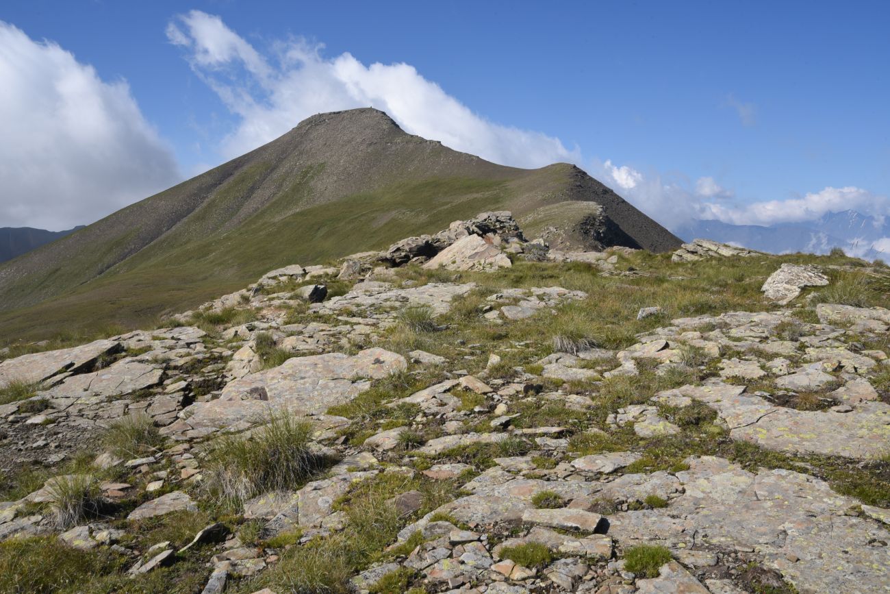 2 км от вершины горы Заинкорт, image of landscape/habitat.