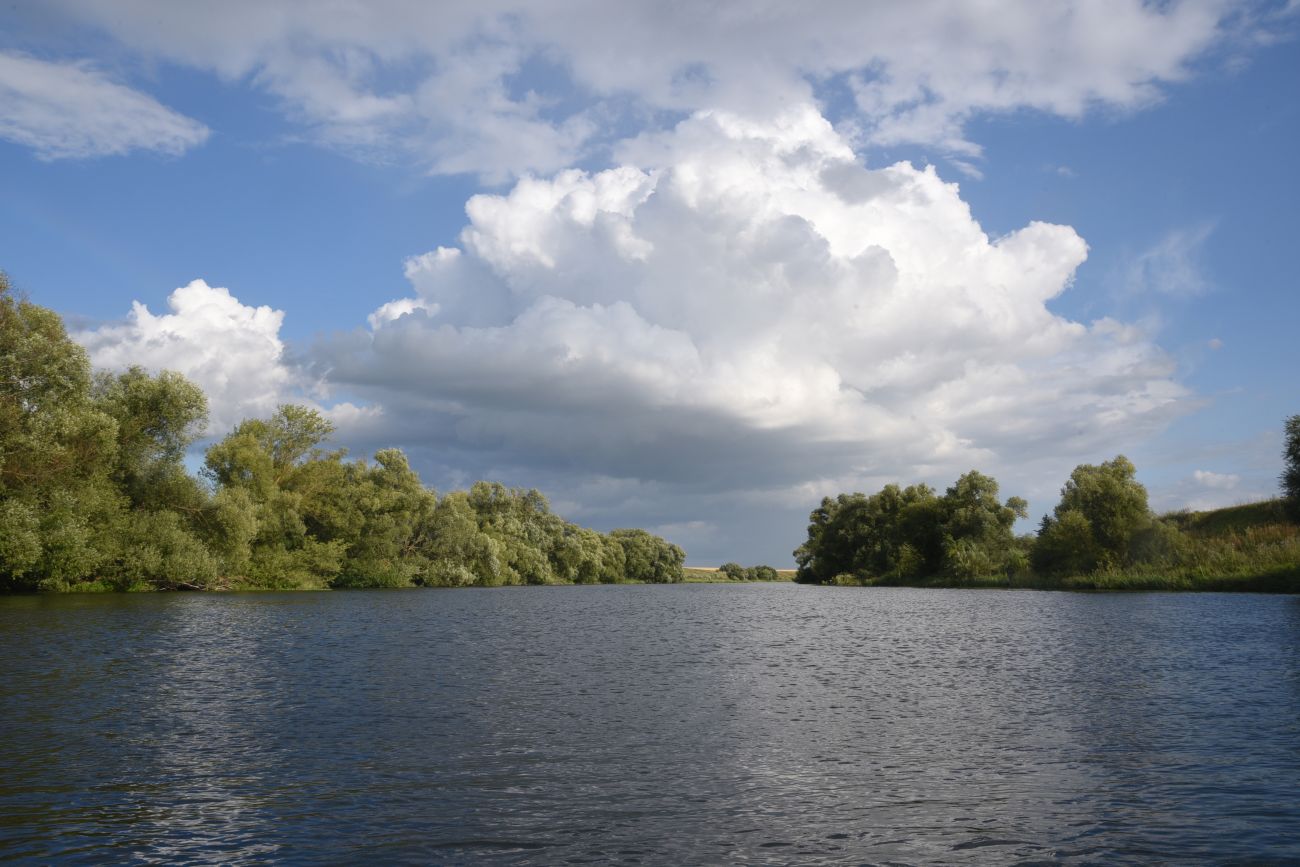 Село Никольское, изображение ландшафта.