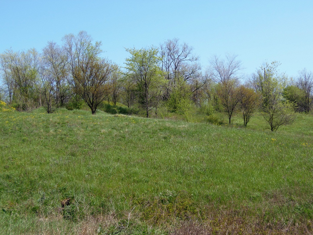 Безымянная балка, image of landscape/habitat.