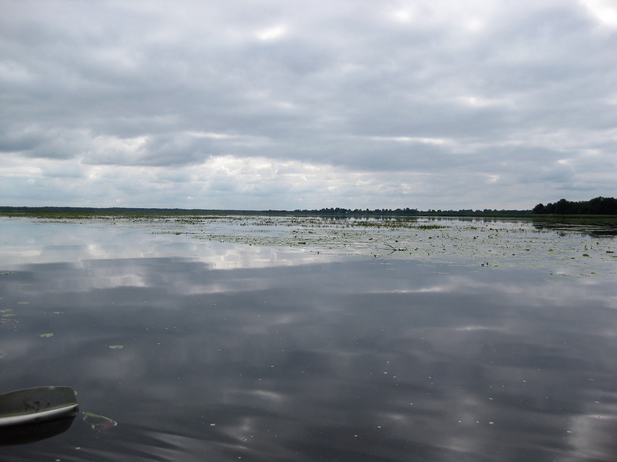 Озеро Волянское, image of landscape/habitat.