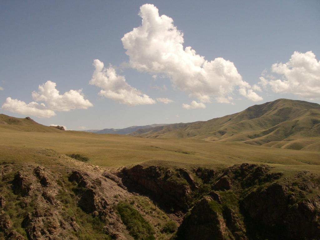 Среднее течение реки Тимерлик, image of landscape/habitat.