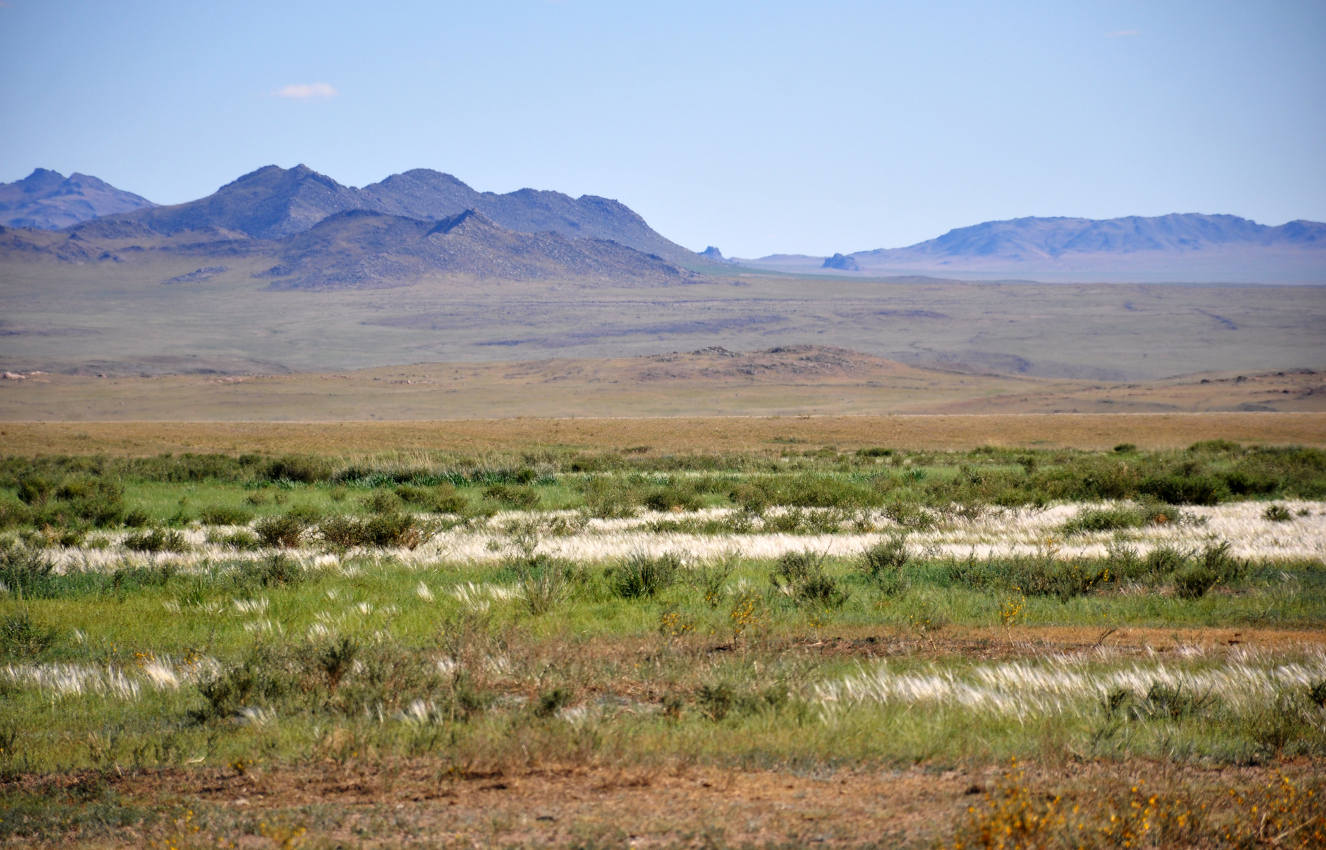 Окрестности поселка Сантмаргац, image of landscape/habitat.